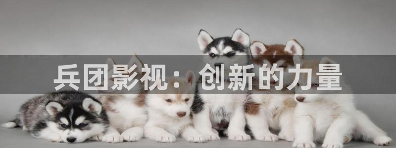 下载丝瓜视频极速版：兵团影视：创新的力量