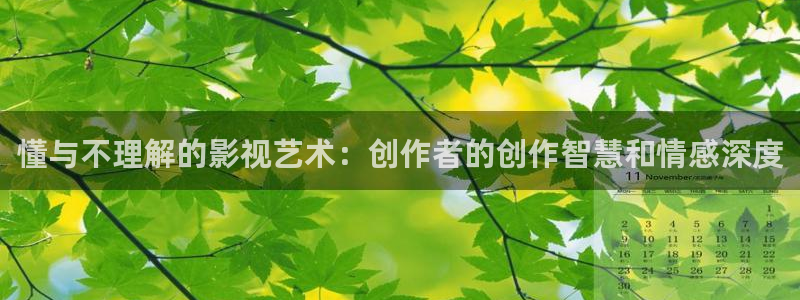 69影院极速版在线观看：懂与不理解的影视艺术：创作者的创作智慧和情感深度