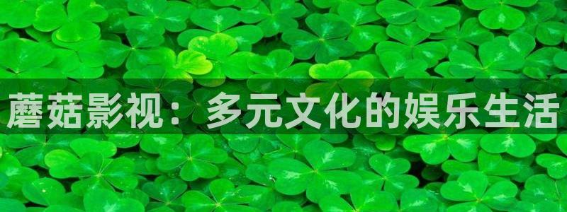 影视工厂极速蓝光：蘑菇影视：多元文化的娱乐生活
