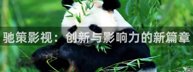 极速影院网站：驰策影视：创新与影响力的新篇章
