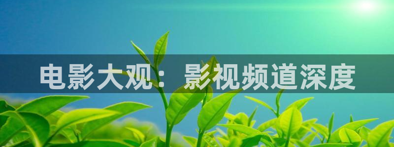 极速影院电视剧：电影大观：影视频道深度