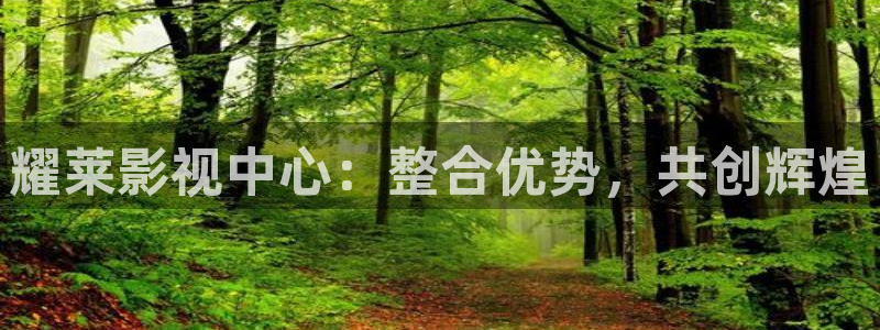 极速影院2024：耀莱影视中心：整合优势，共创辉煌