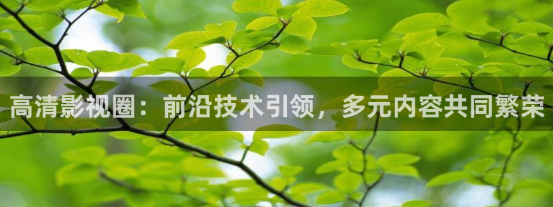 午夜极速影院被窝看片：高清影视圈：前沿技术引领，多元内容共同繁荣
