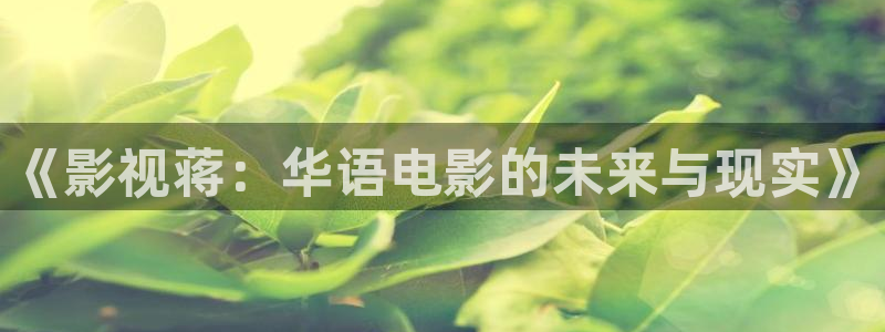 大秦赋极速影院：《影视蒋：华语电影的未来与现实》