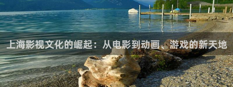 91极速影院：上海影视文化的崛起：从电影到动画、游戏的新天地