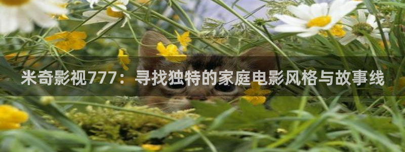 飞极速影院在线观看：米奇影视777：寻找独特的家庭电影风格与故事线