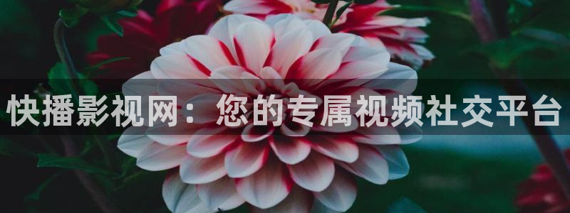 电影极速酷客：快播影视网：您的专属视频社交平台