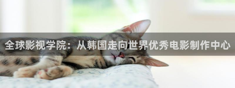 极速电影院：全球影视学院：从韩国走向世界优秀电影制作中心
