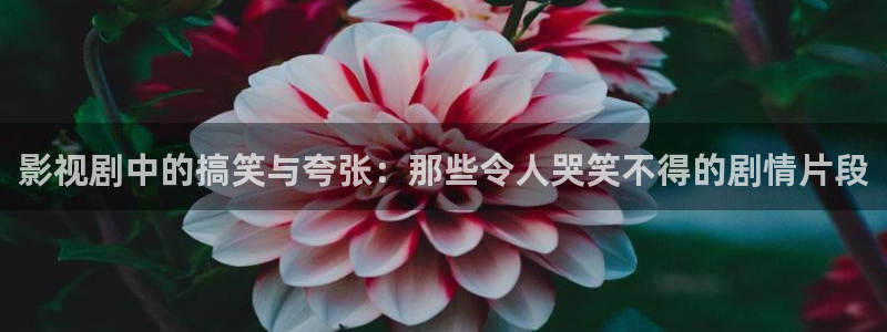极速影院快看：影视剧中的搞笑与夸张：那些令人哭笑不得的剧情片段